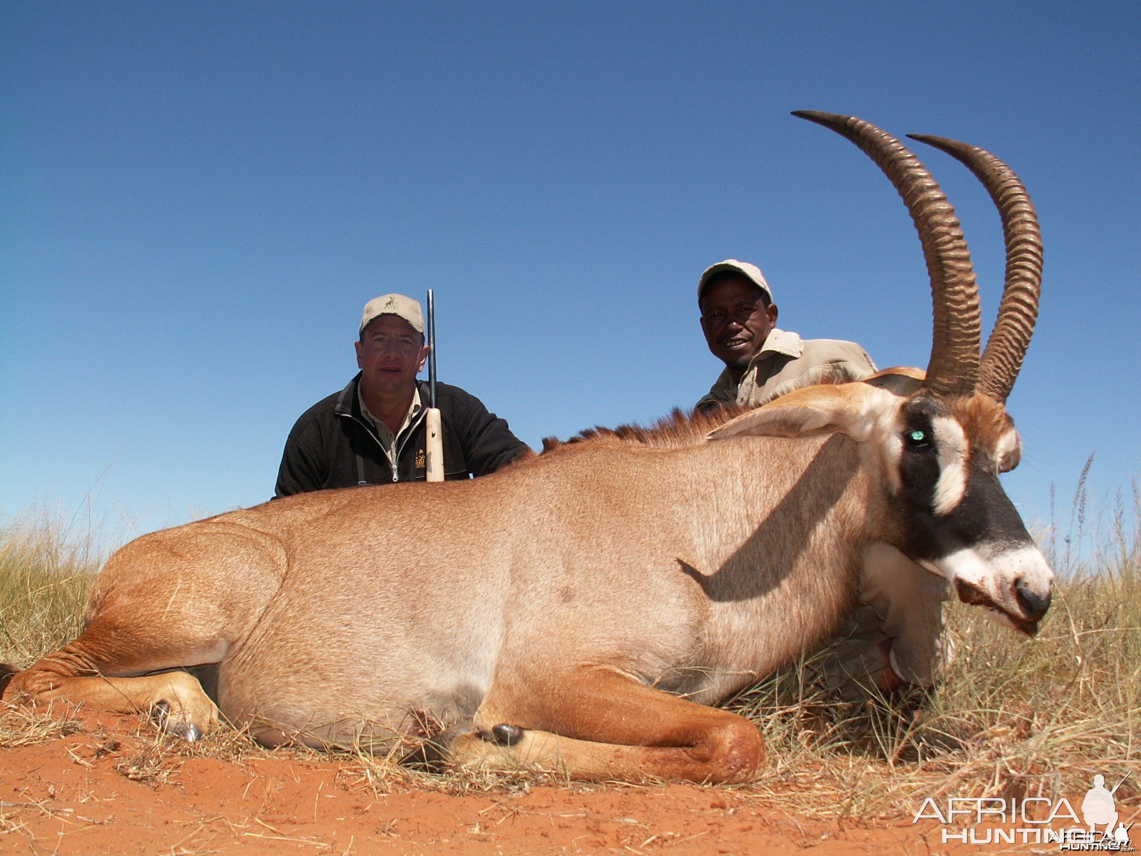 Hunting Roan with Wintershoek Johnny Vivier Safaris in SA