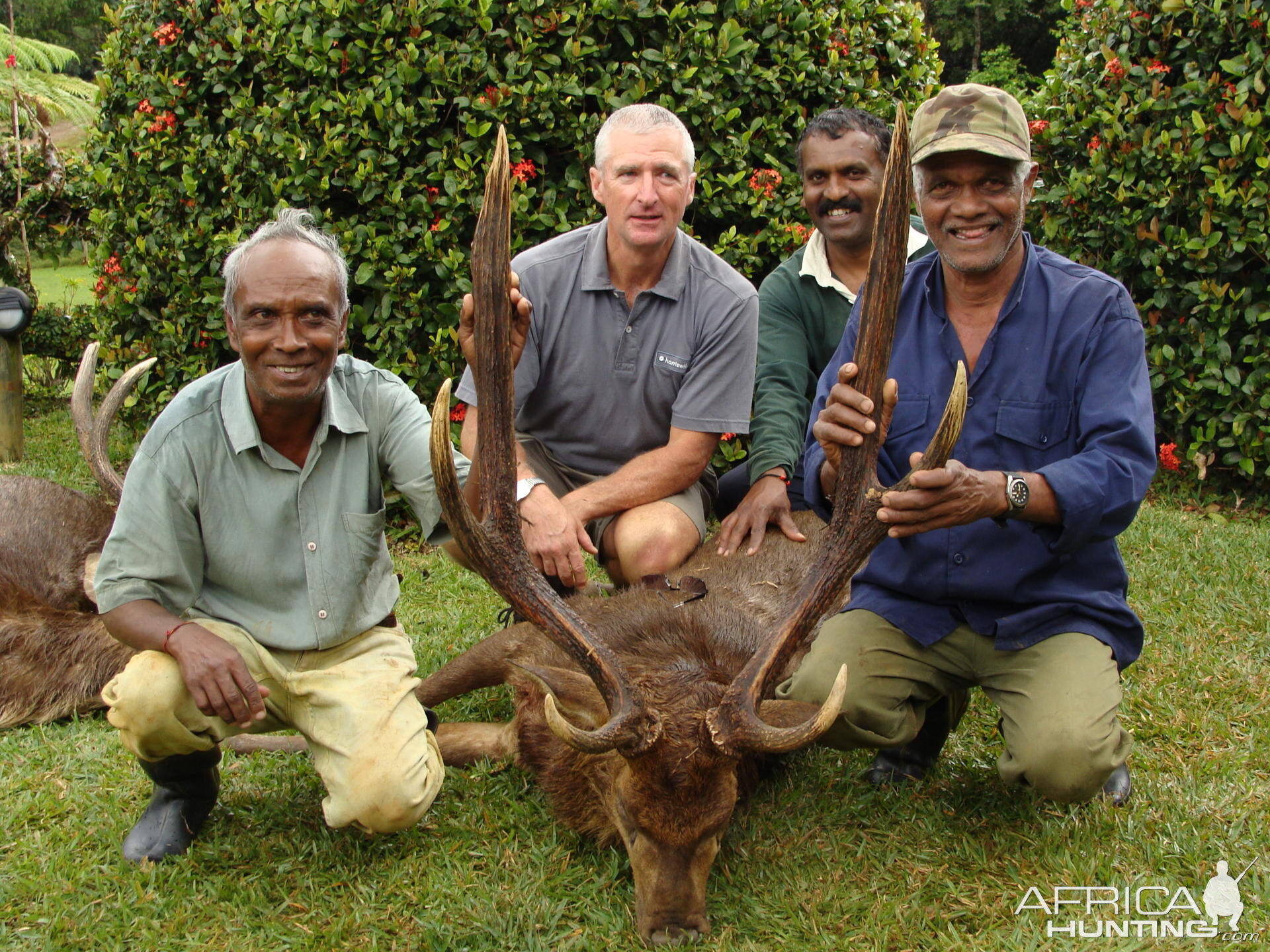 Hunting Rusa Deer Mauritius