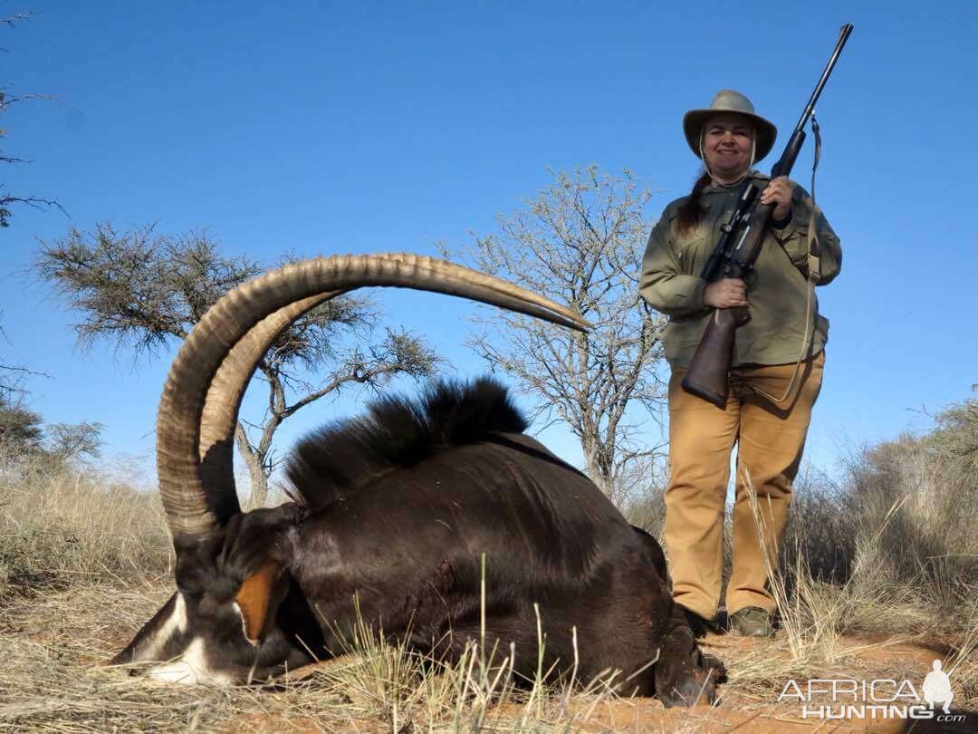 Hunting Sable Antelope in Namibia