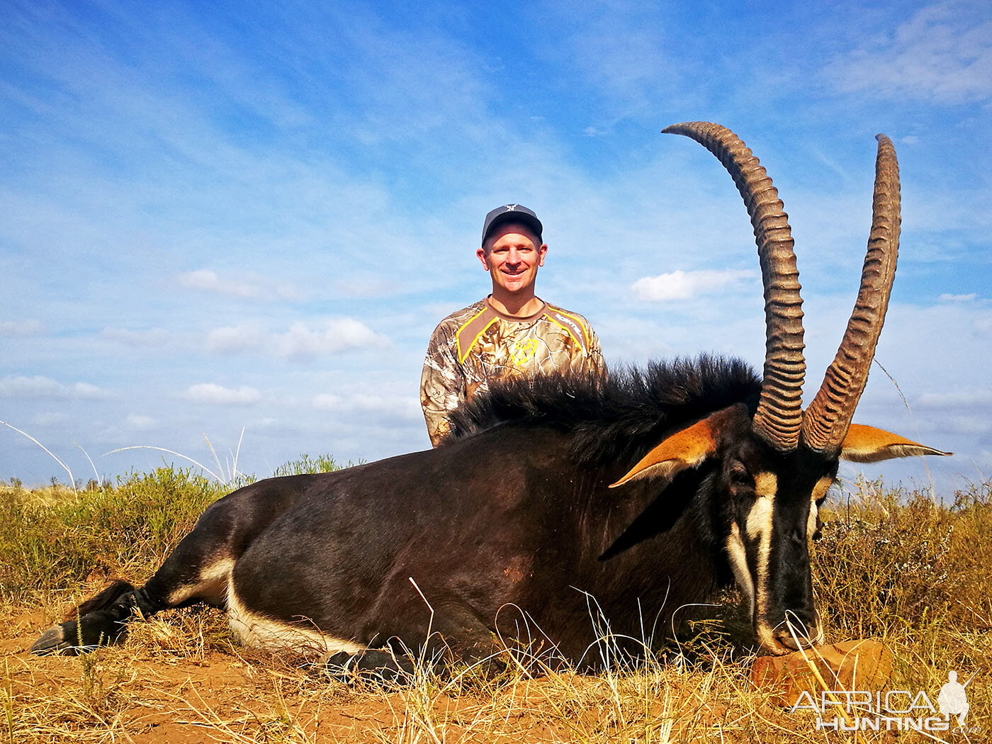 Hunting Sable Antelope in South Africa