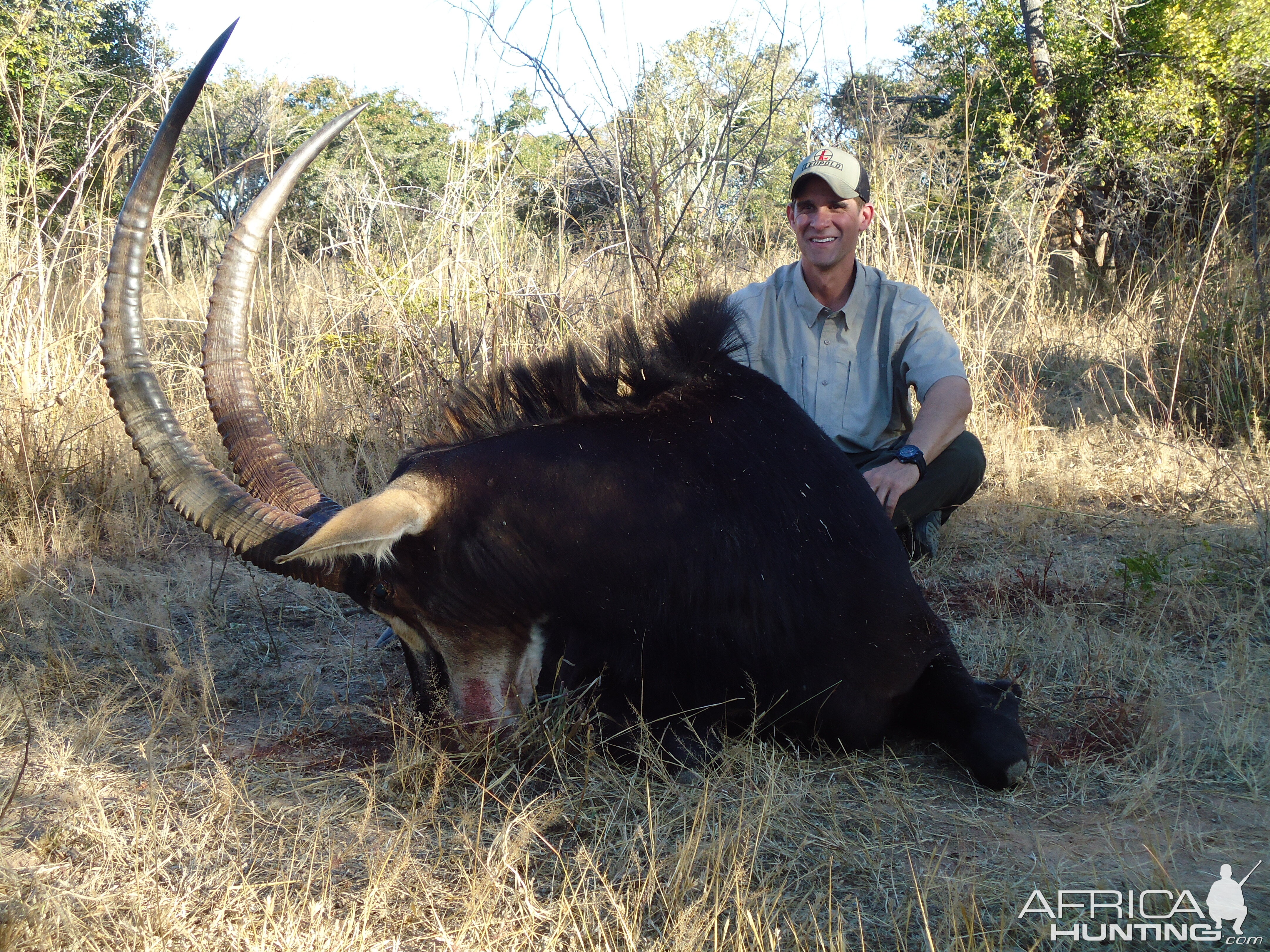 Hunting Sable Antelope in Zambia