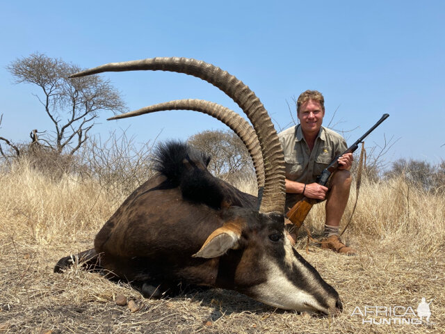 Hunting Sable in South Africa