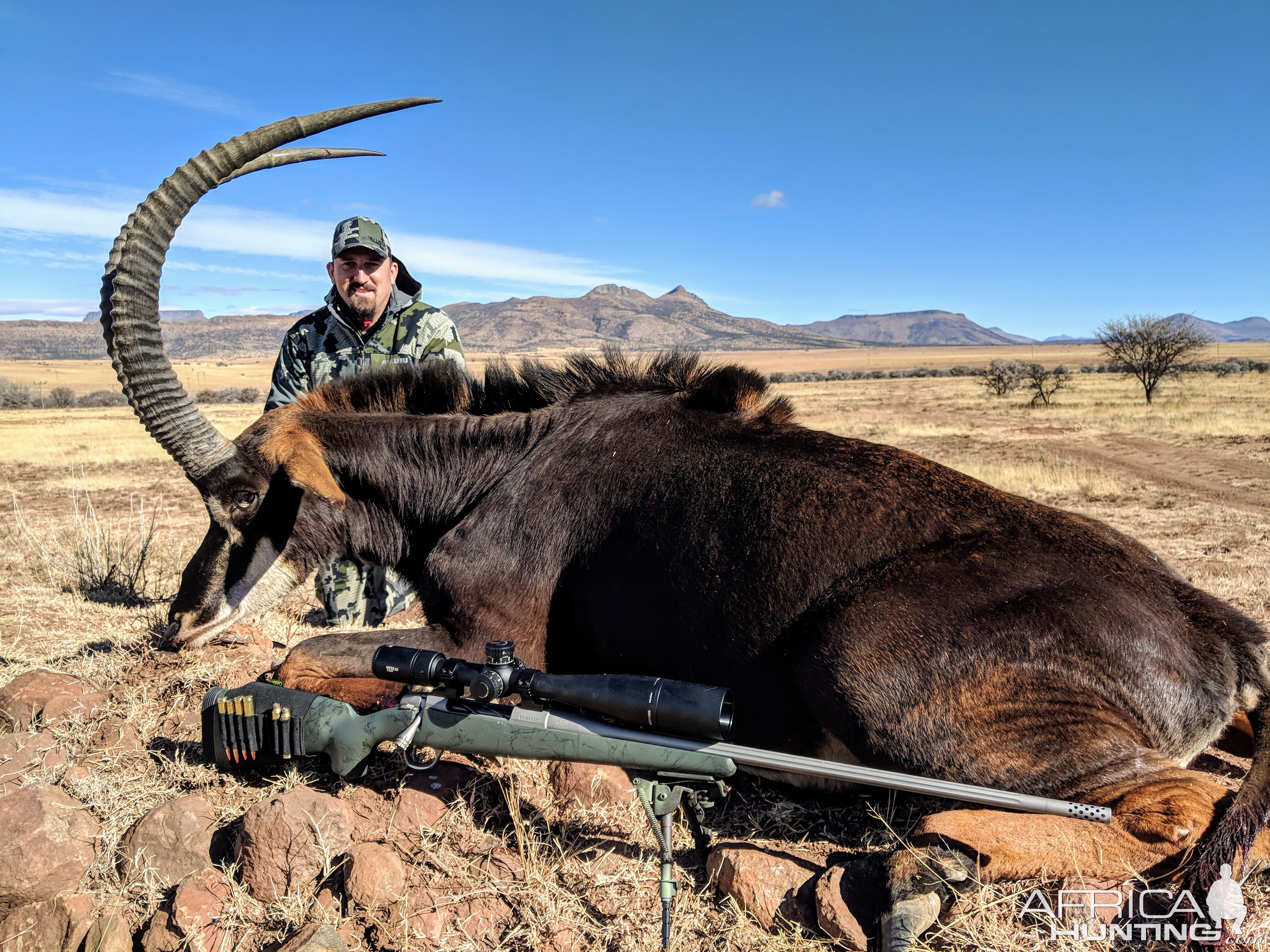 Hunting Sable in South Africa