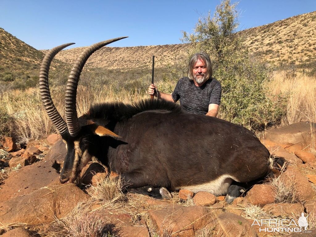 Hunting Sable in South Africa