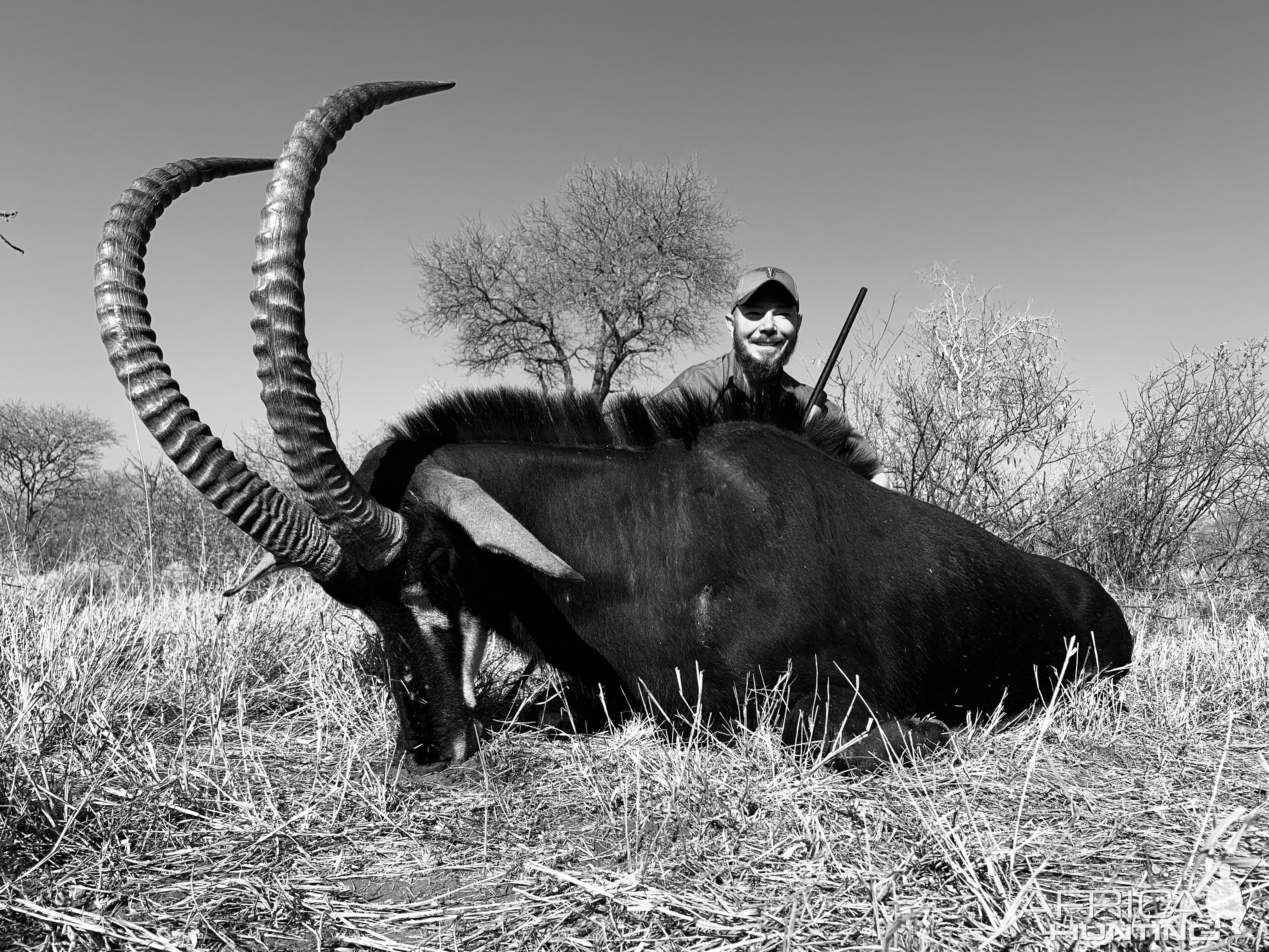 Hunting Sable in South Africa