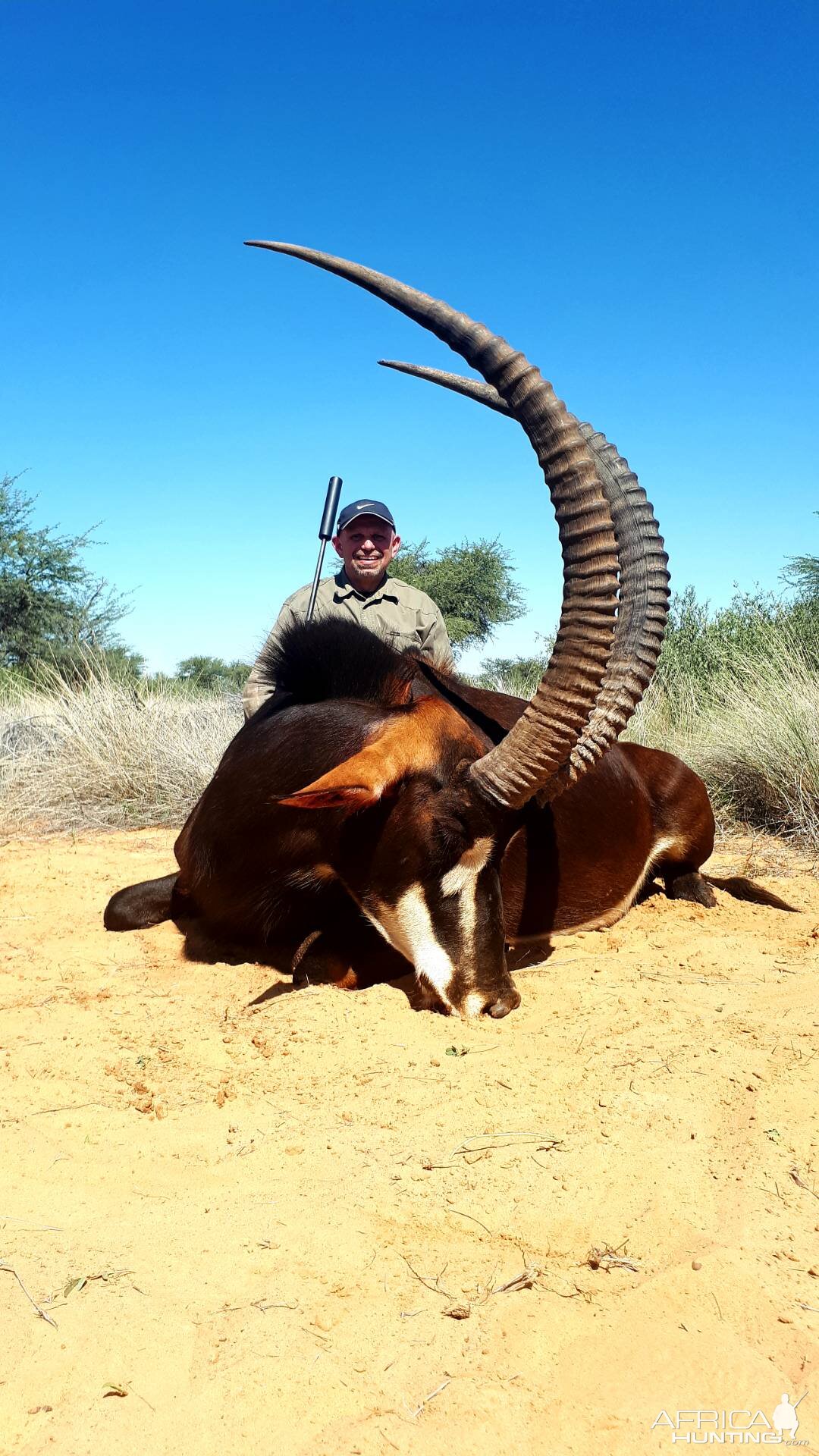 Hunting Sable in South Africa