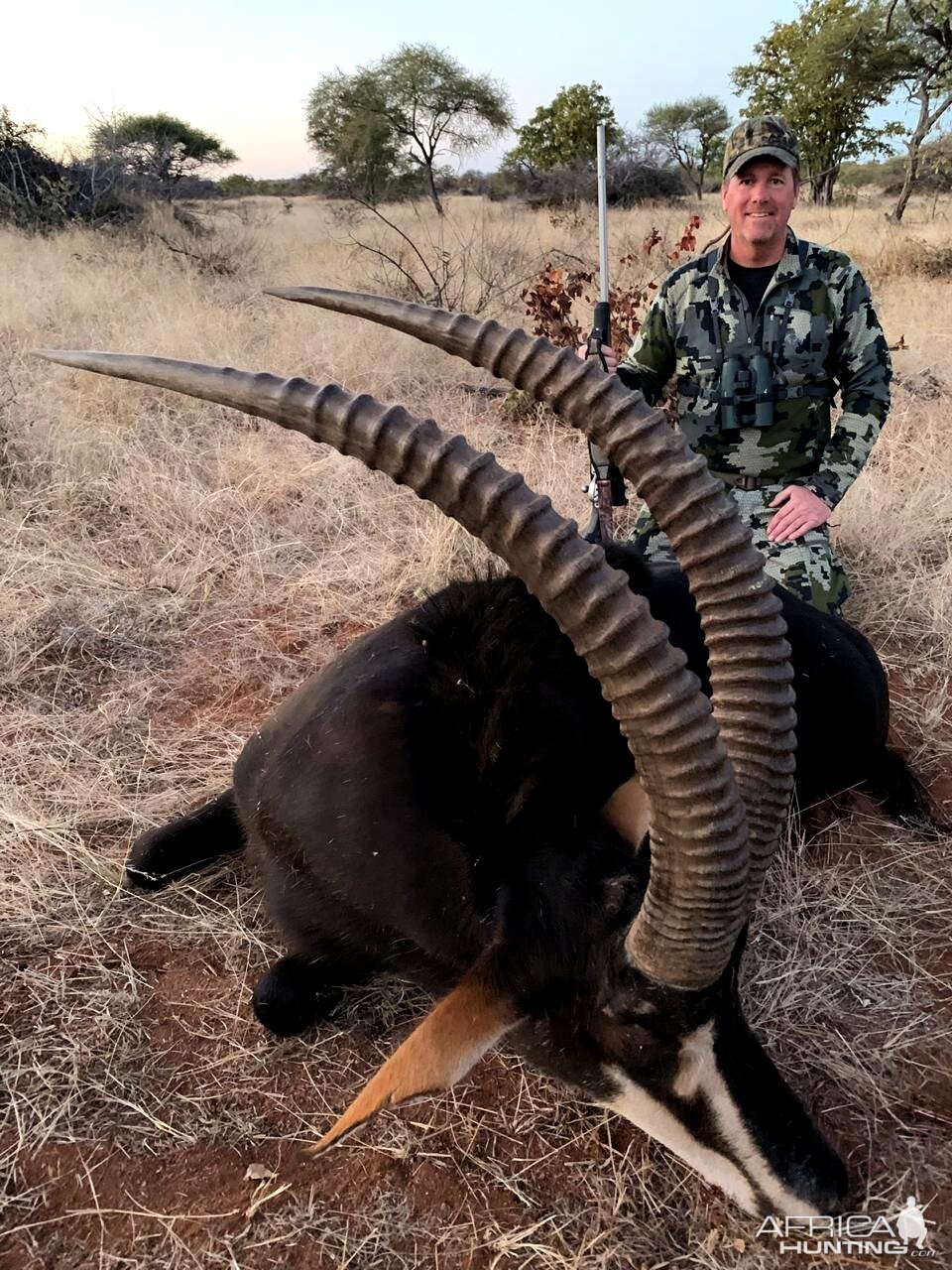 Hunting Sable in South Africa