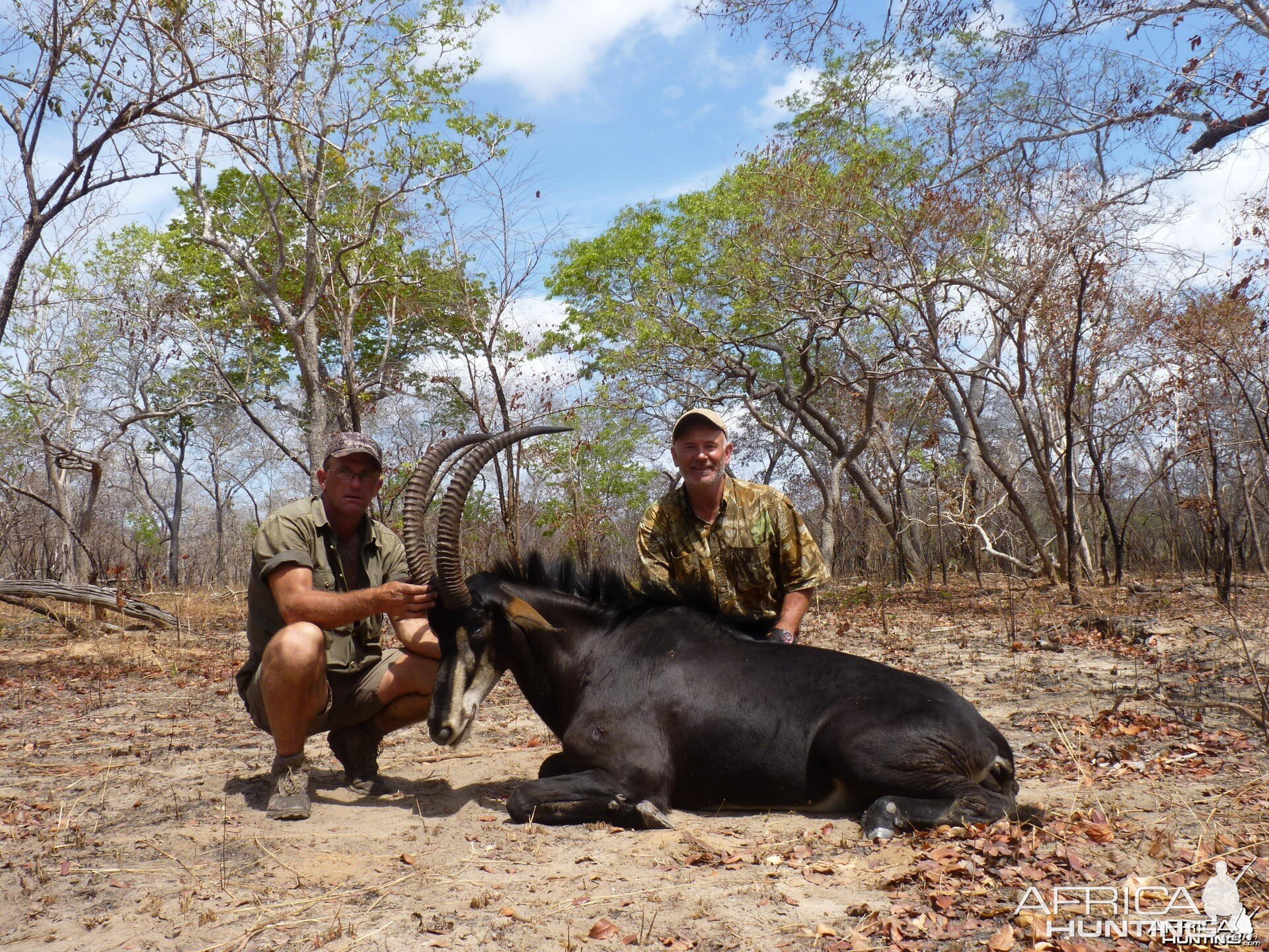 Hunting Sable in Tanzania