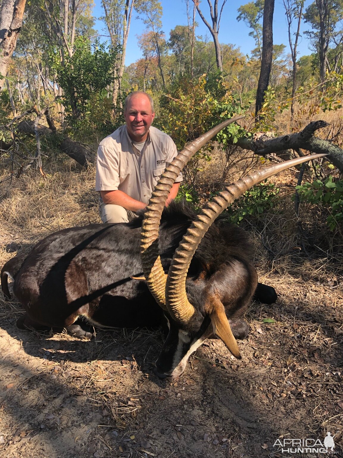 Hunting Sable in Zimbabwe