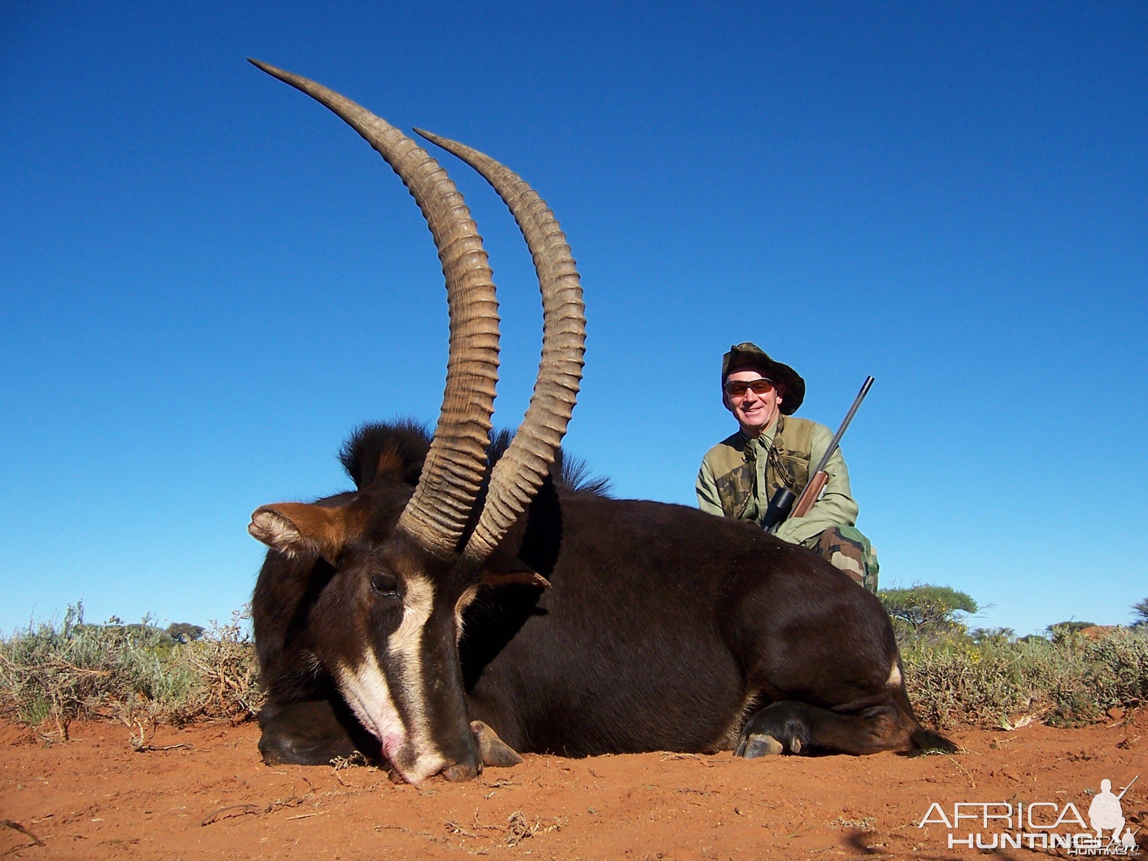 Hunting Sable with Wintershoek Johnny Vivier Safaris in SA