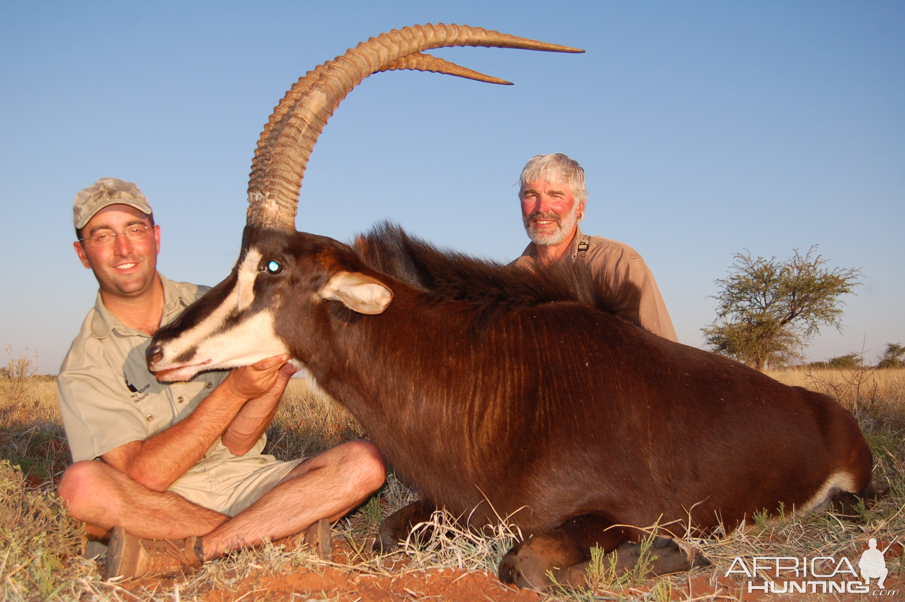 Hunting Sable with Wintershoek Johnny Vivier Safaris in SA