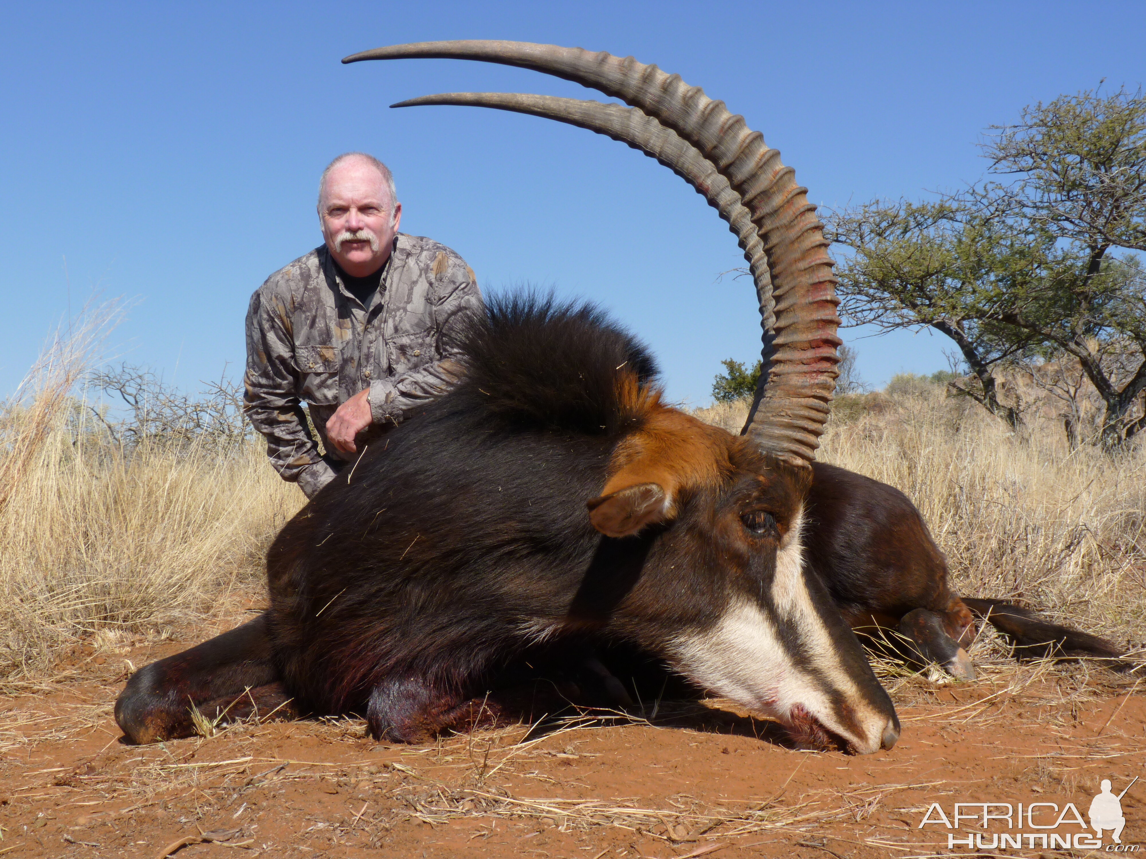 Hunting Sable with Wintershoek Johnny Vivier Safaris in SA