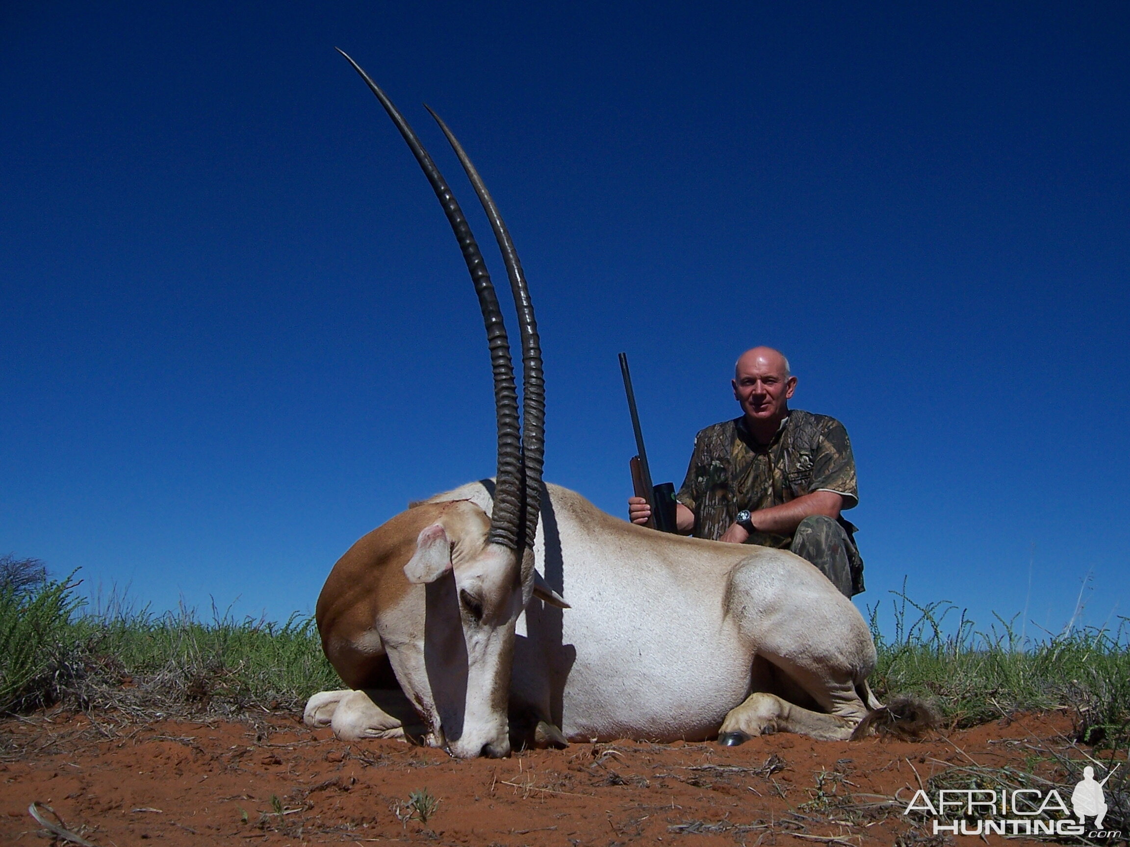 Hunting Scimitar Oryx with Wintershoek Johnny Vivier Safaris in SA