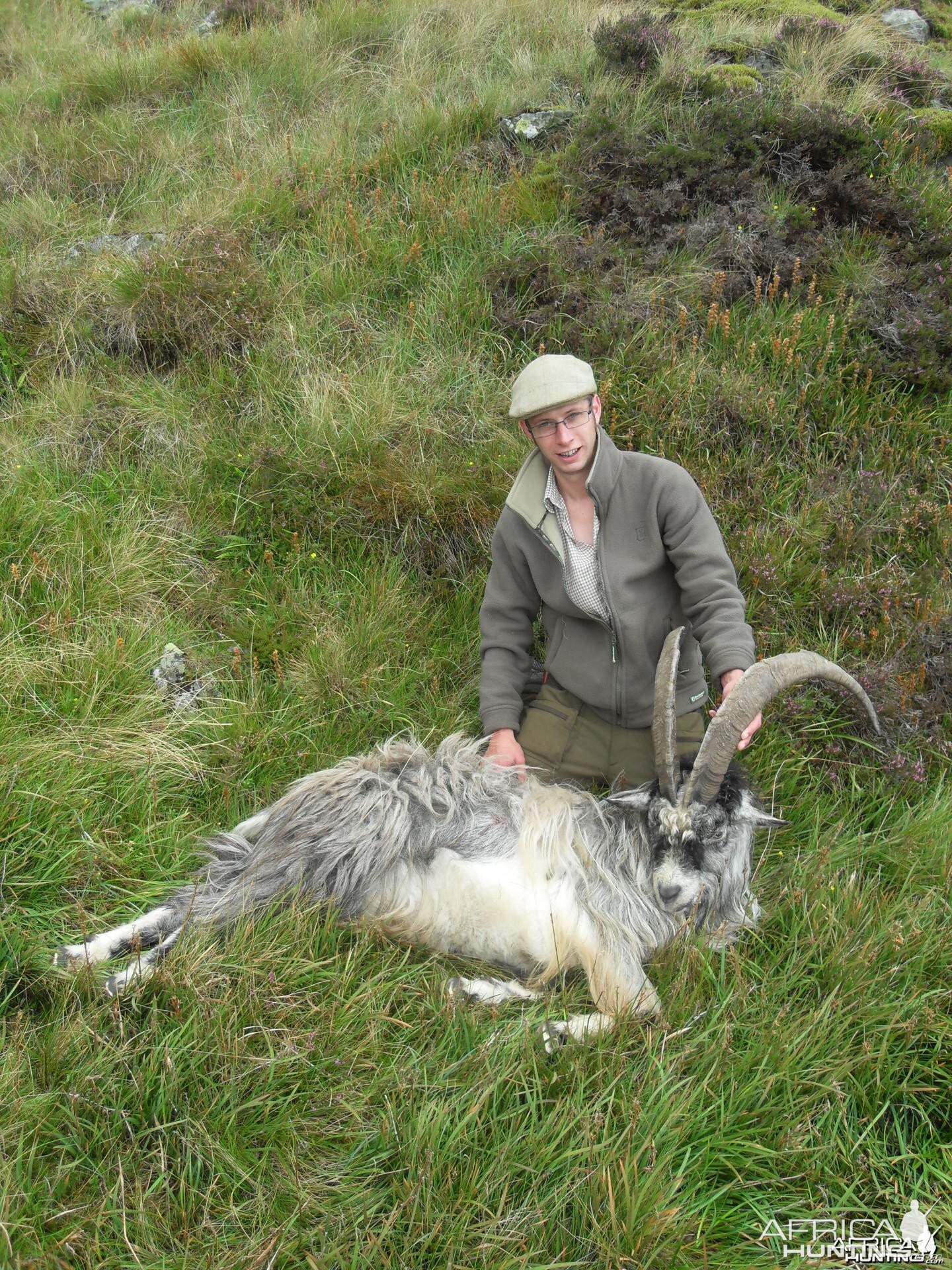 Hunting Scottish Goats in the Scottish Mountains