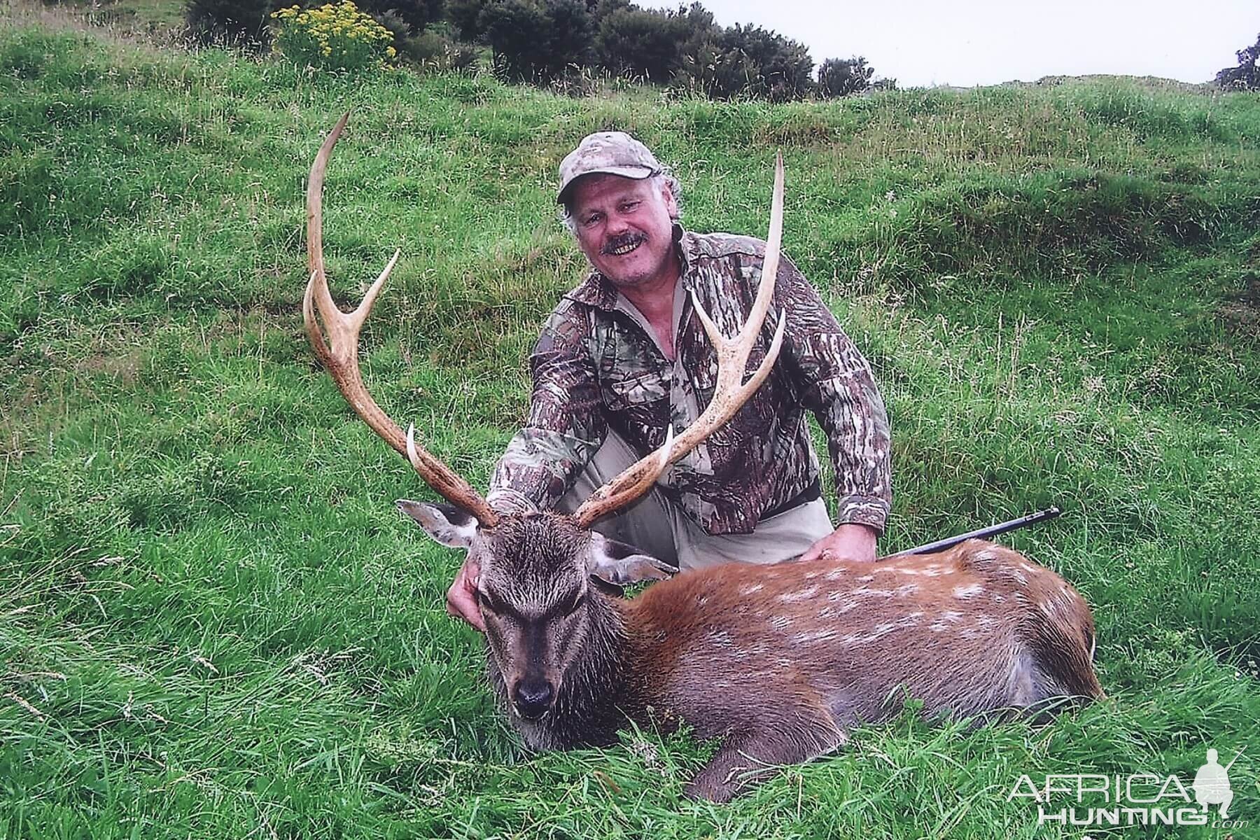 Hunting Sika Deer New Zealand