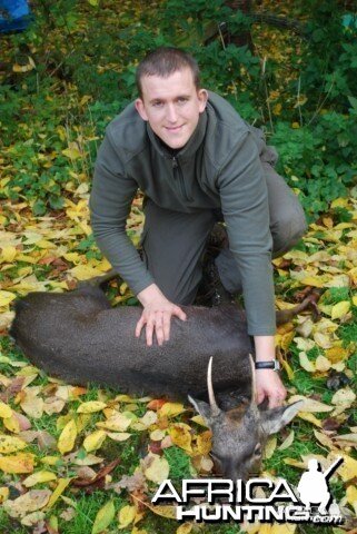 Hunting Sika Stag