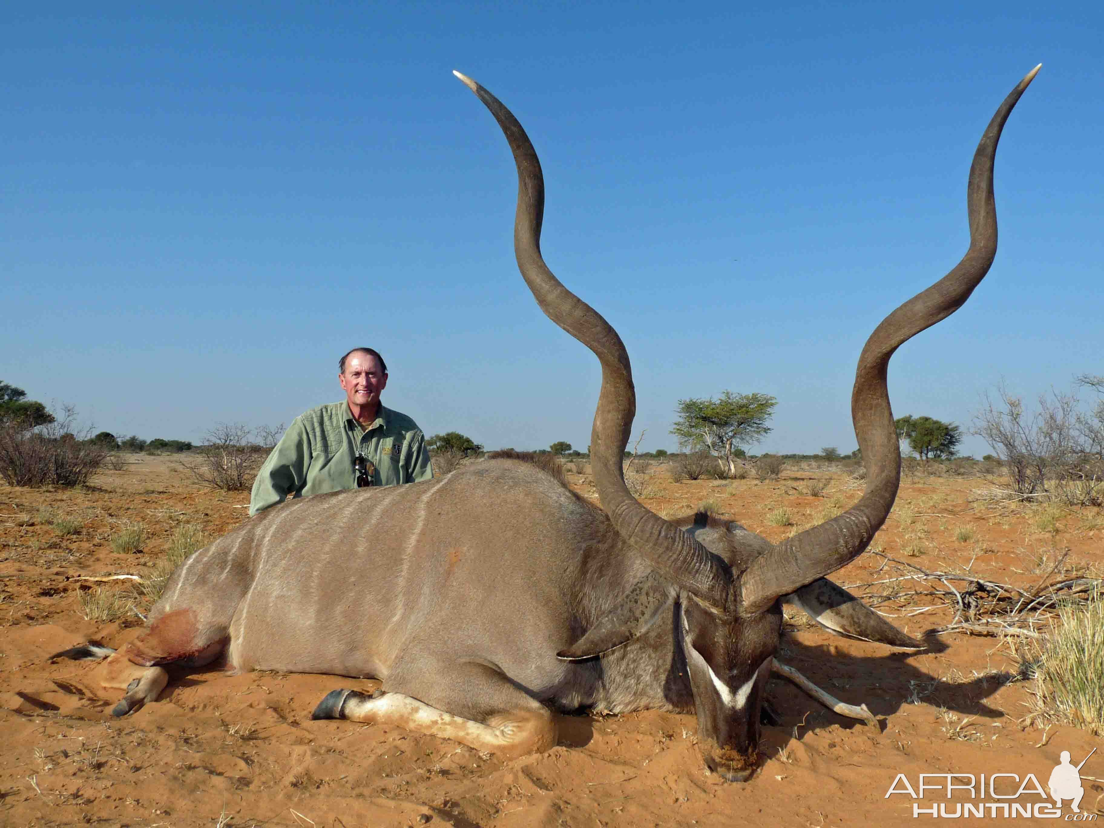 Hunting South Africa Beautiful Kudu Bull