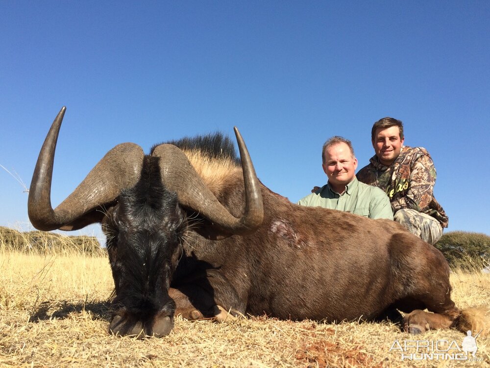 Hunting South Africa Black Wildebeest