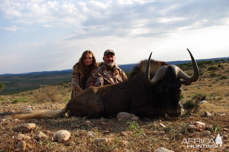 Hunting South Africa Black Wildebeest