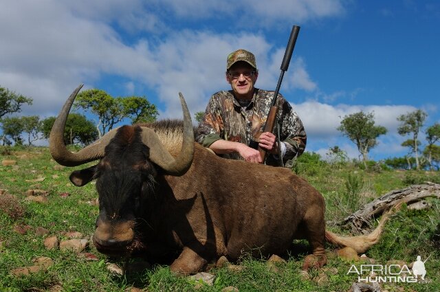 Hunting South Africa Black Wildebeest