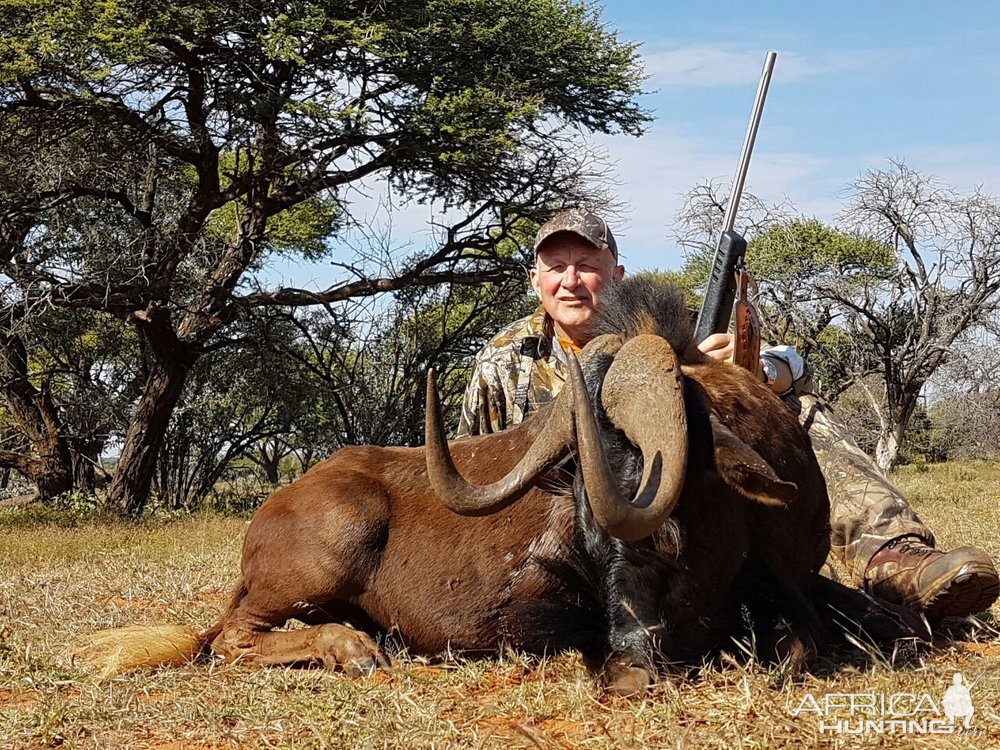 Hunting South Africa Black Wildebeest