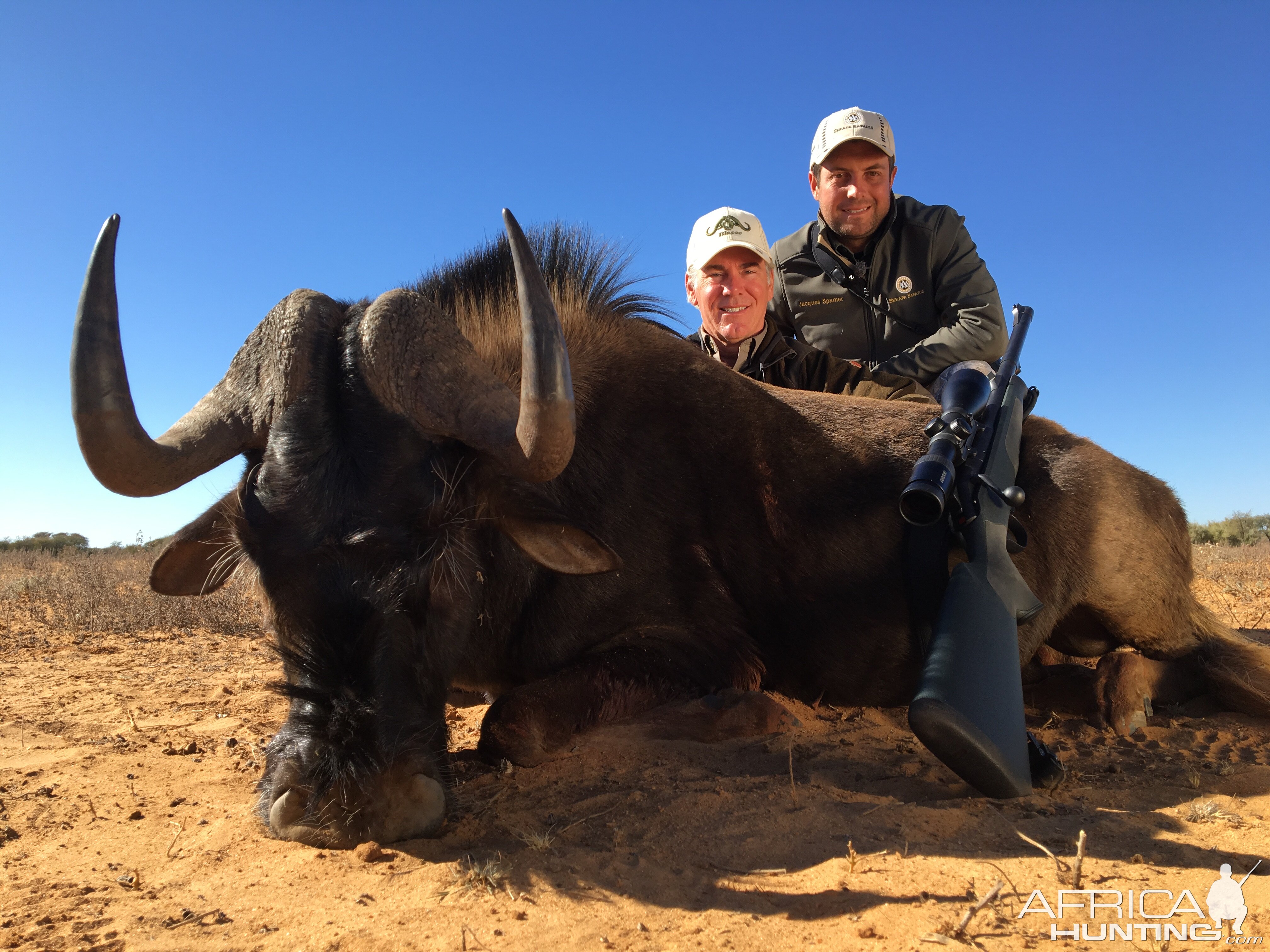 Hunting South Africa Black Wildebeest