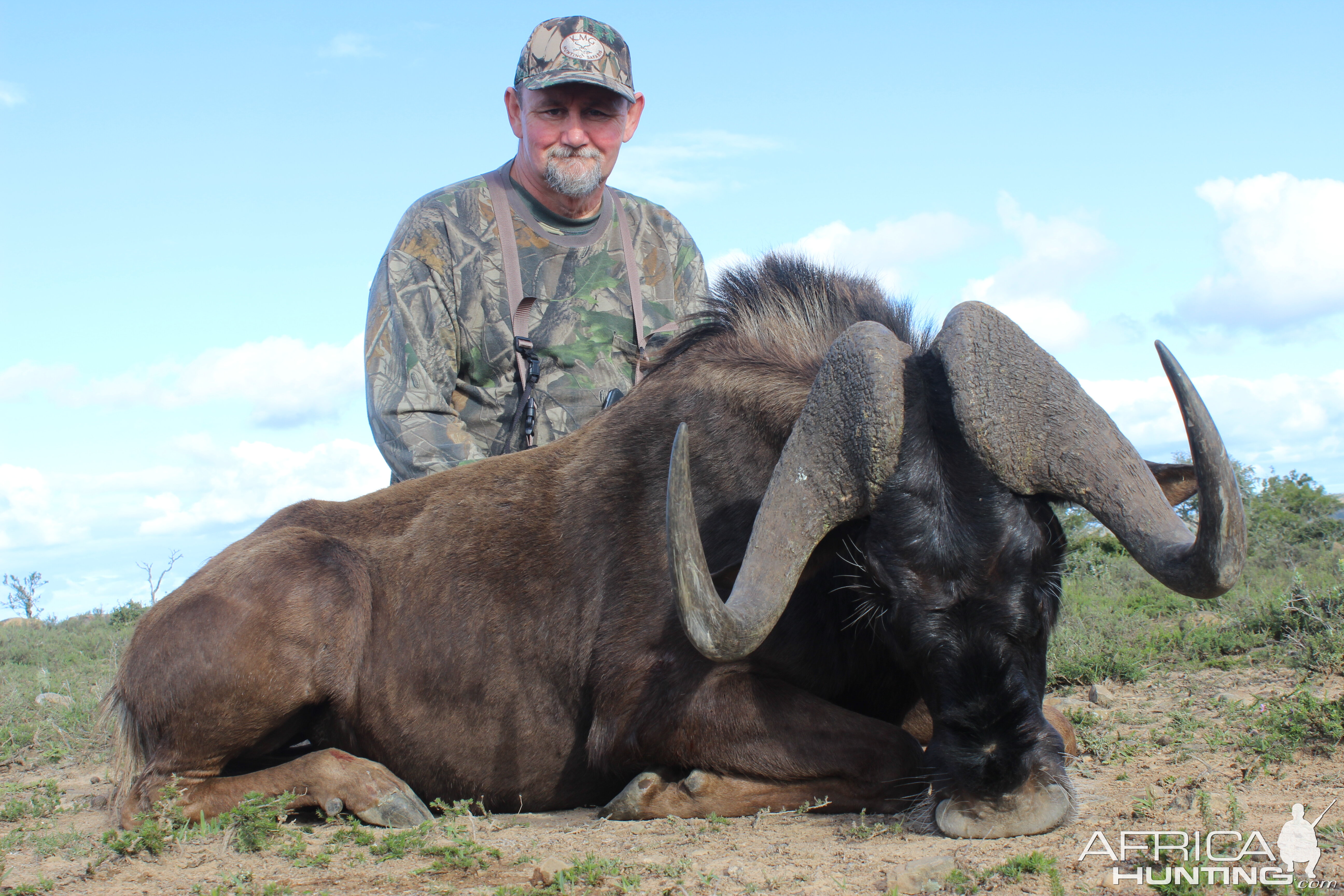 Hunting South Africa Black Wildebeest