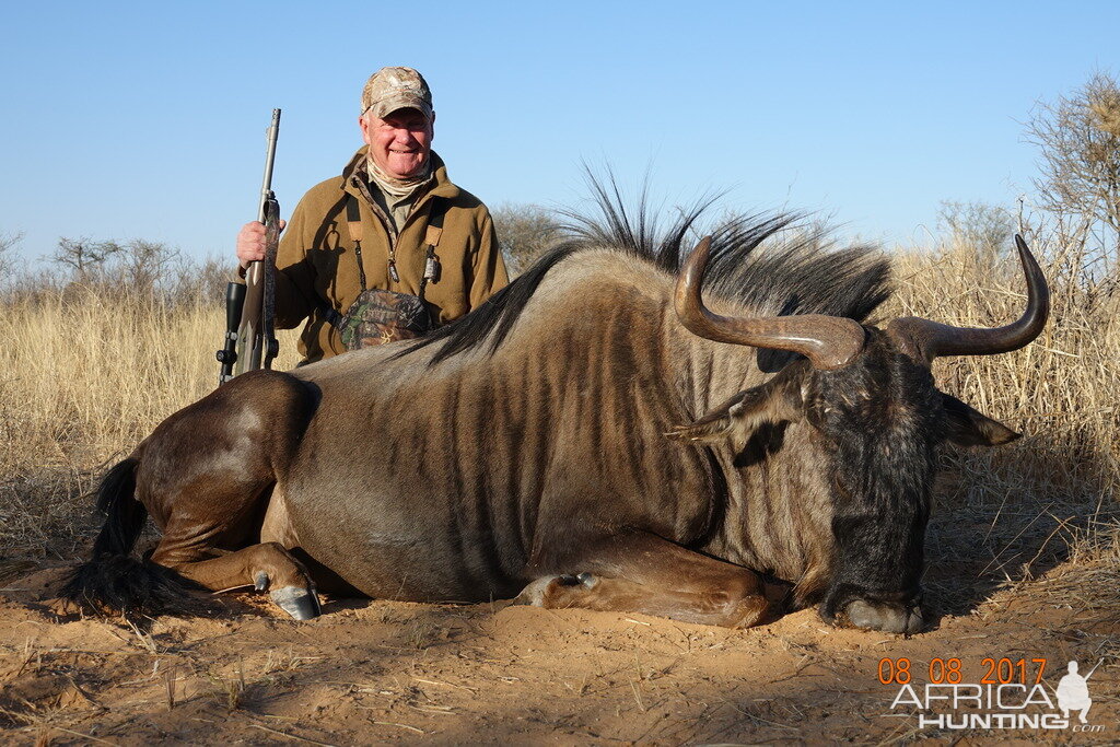 Hunting South Africa Blue Wildebeest