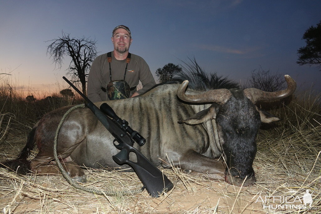 Hunting South Africa Blue Wildebeest