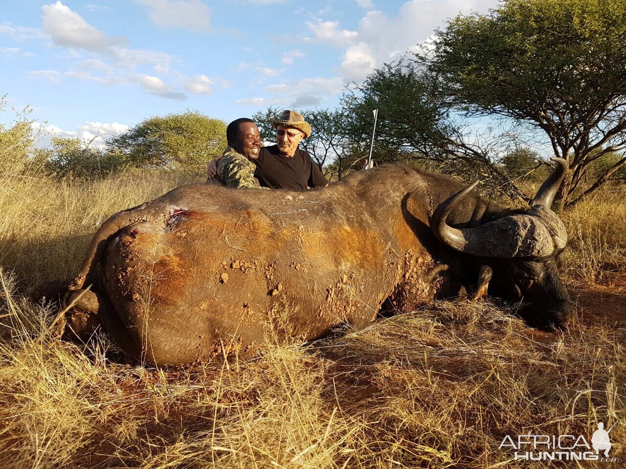 Hunting South Africa Buffalo