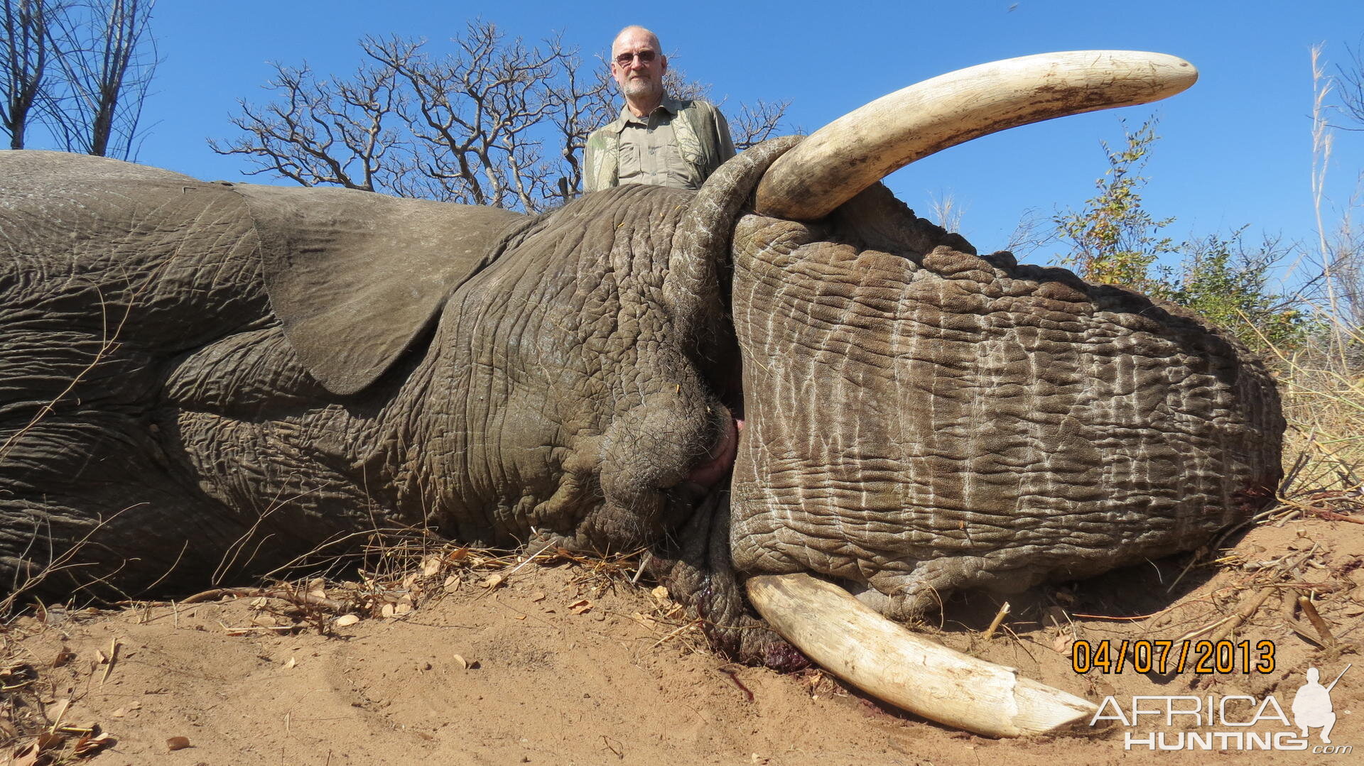 Hunting South Africa Elephant