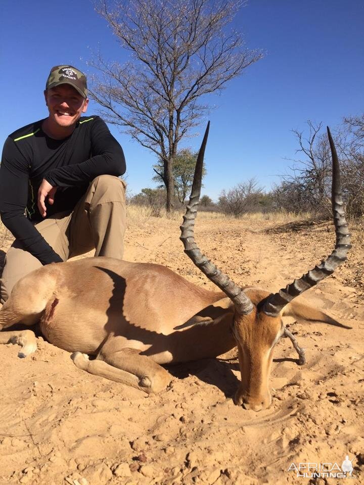 Hunting South Africa Impala