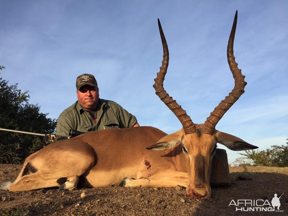 Hunting South Africa Impala