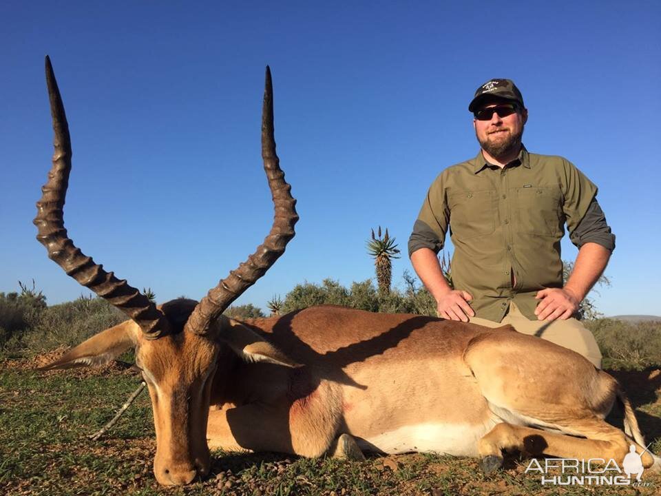 Hunting South Africa Impala