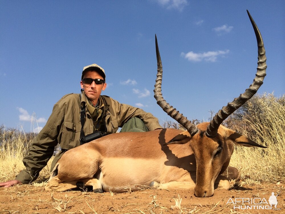 Hunting South Africa Impala