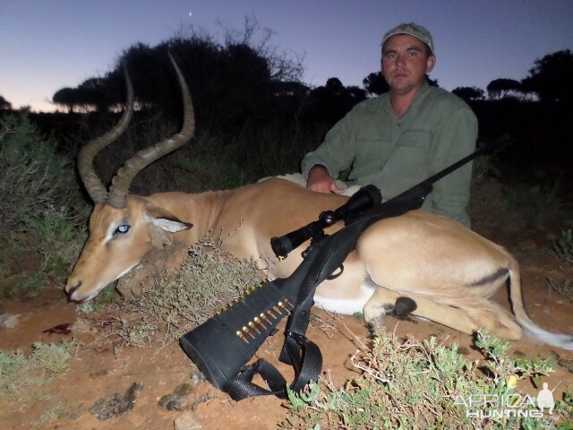 Hunting South Africa Impala