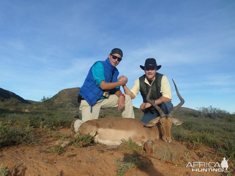 Hunting South Africa Impala