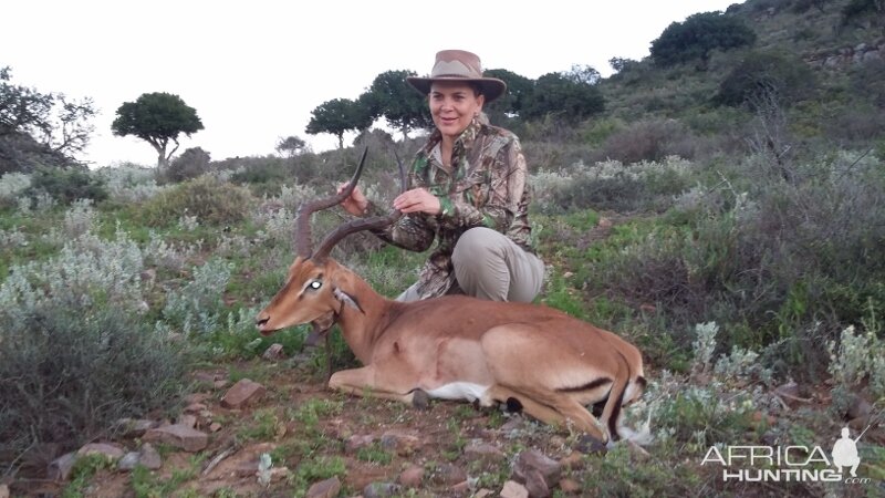 Hunting South Africa Impala