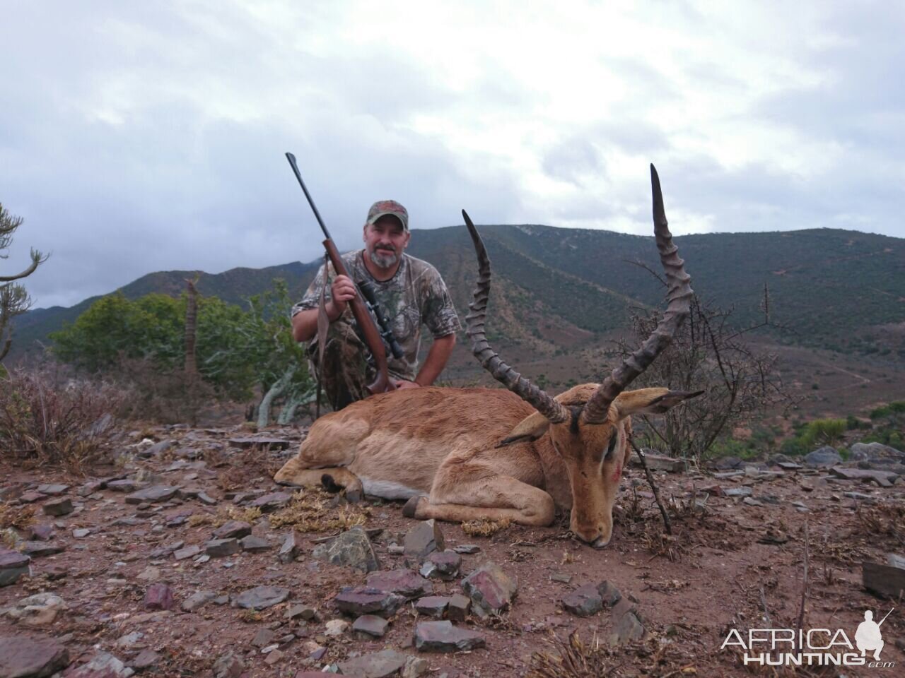 Hunting South Africa Impala