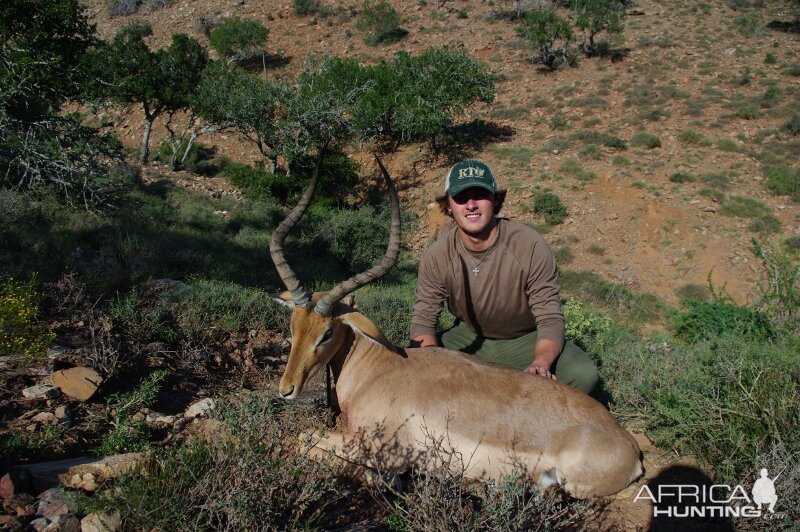 Hunting South Africa Impala