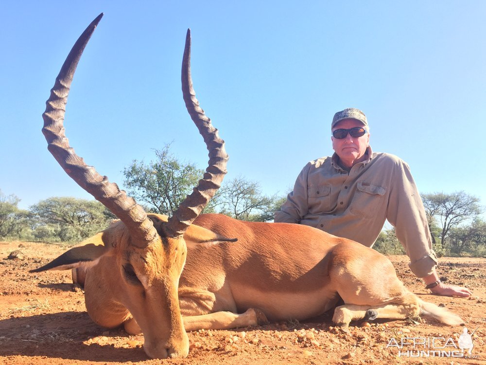 Hunting South Africa Impala