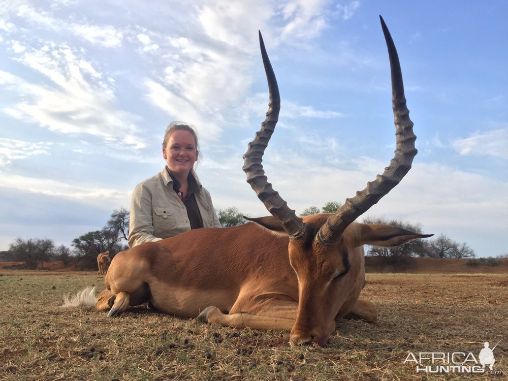 Hunting South Africa Impala