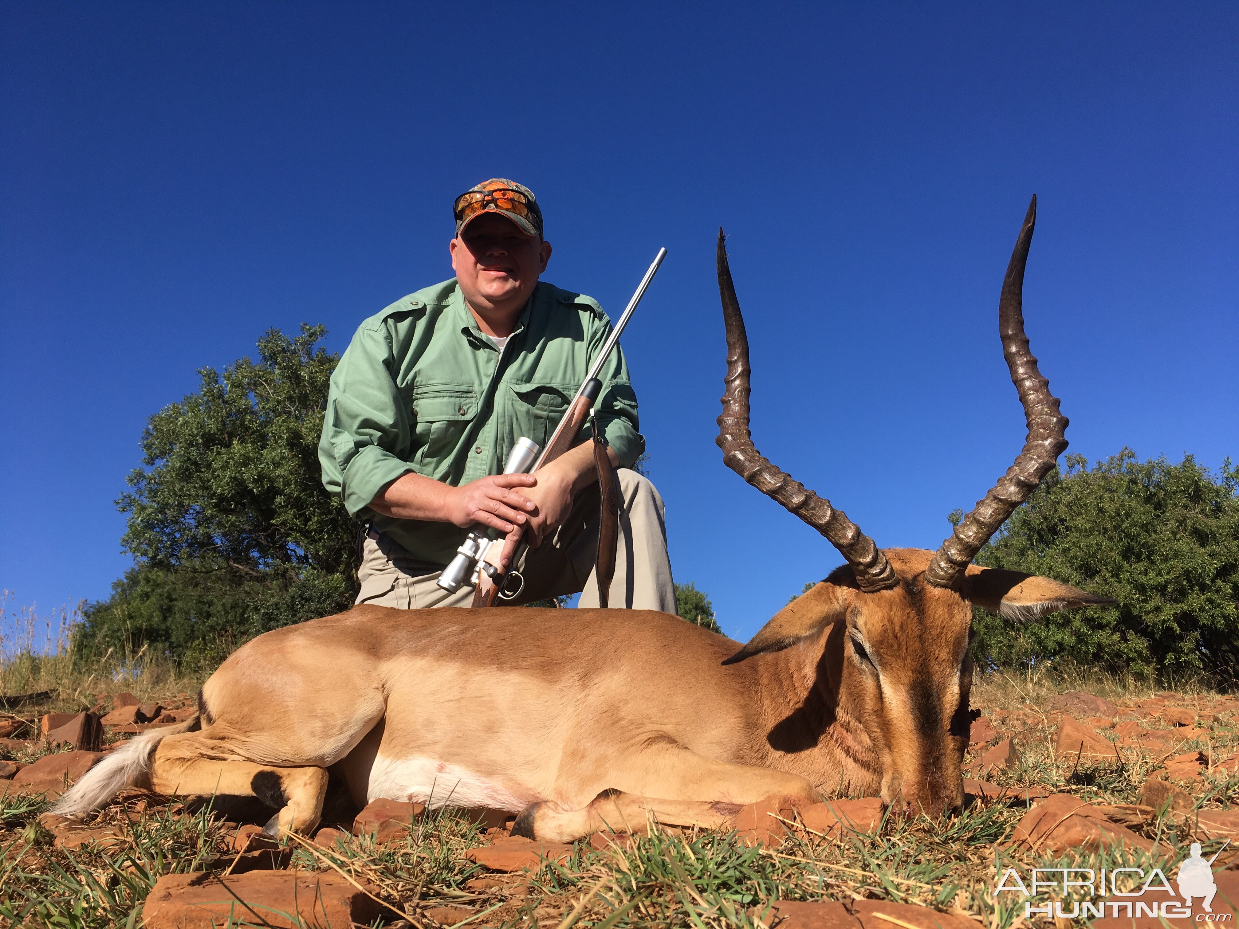 Hunting South Africa Impala