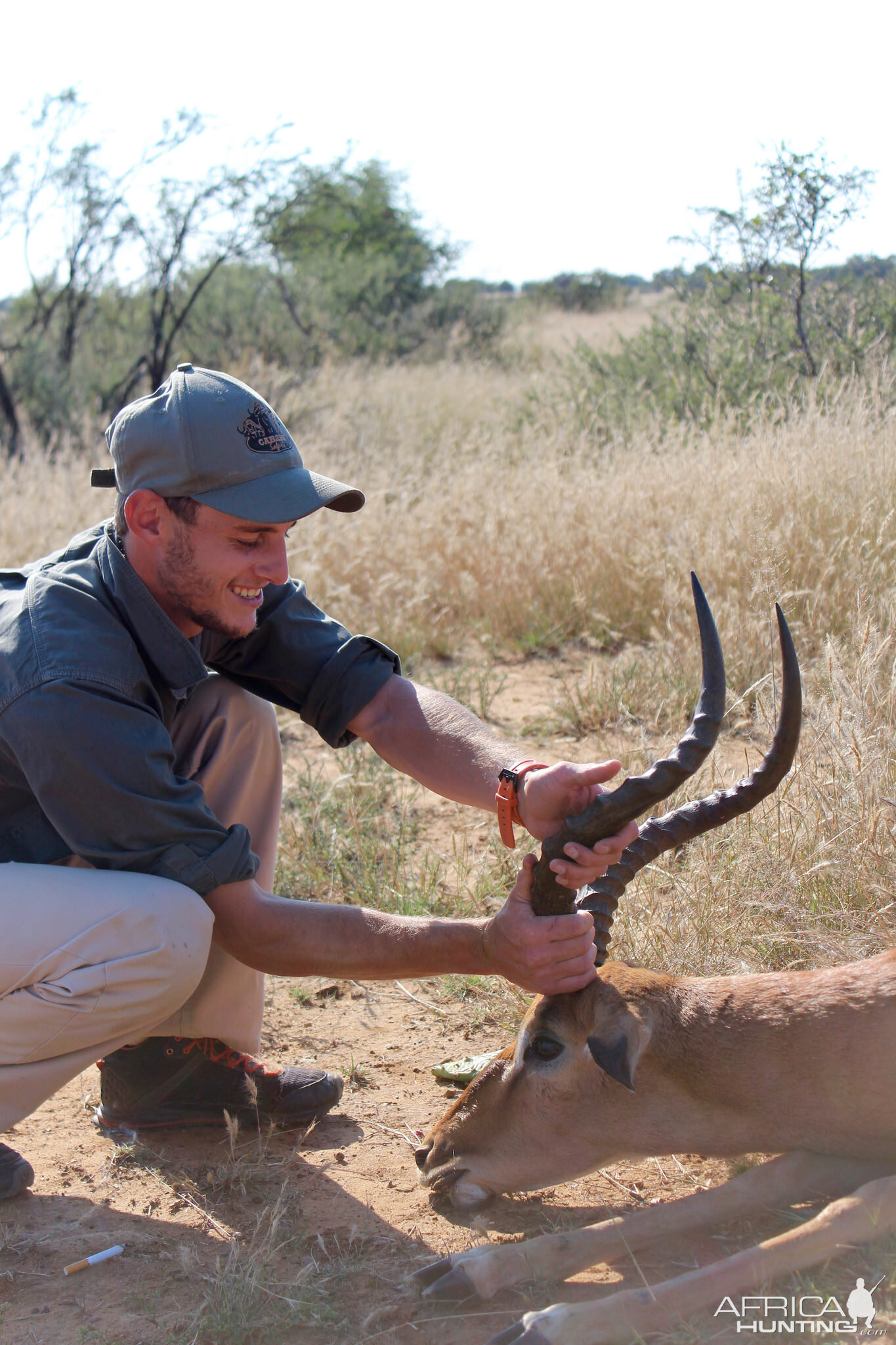 Hunting South Africa Impala