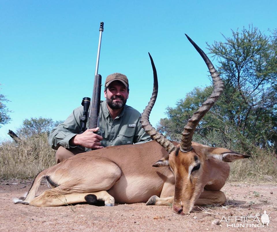 Hunting South Africa Impala