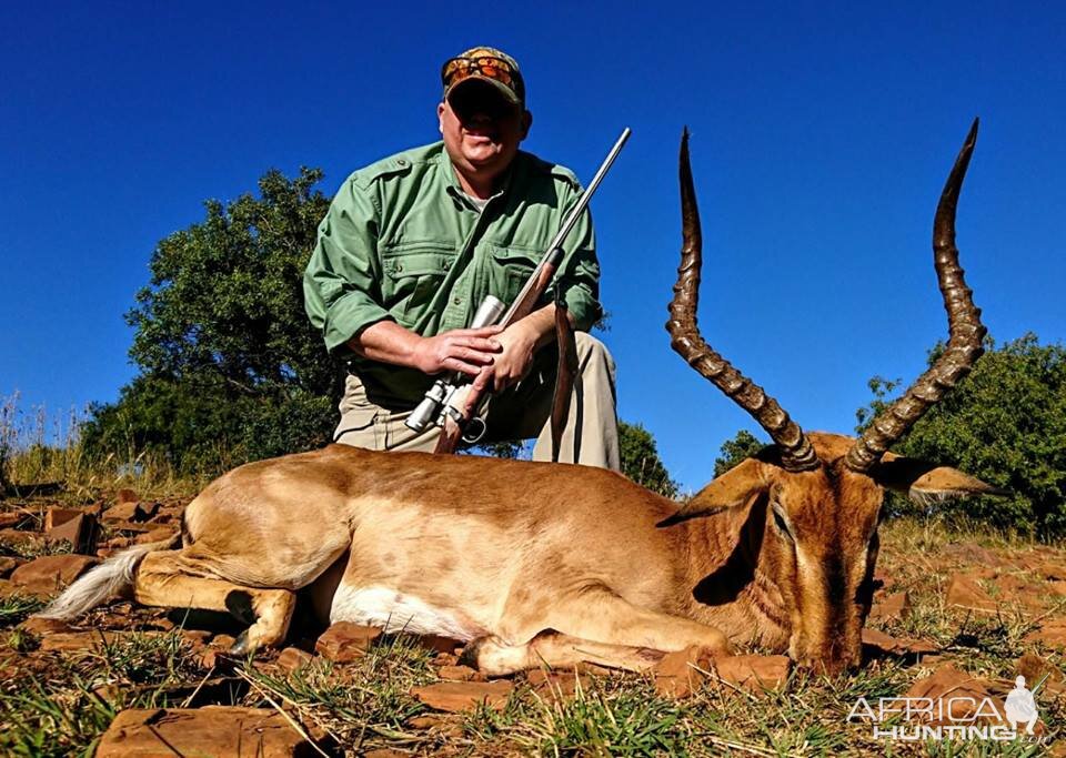 Hunting South Africa Impala