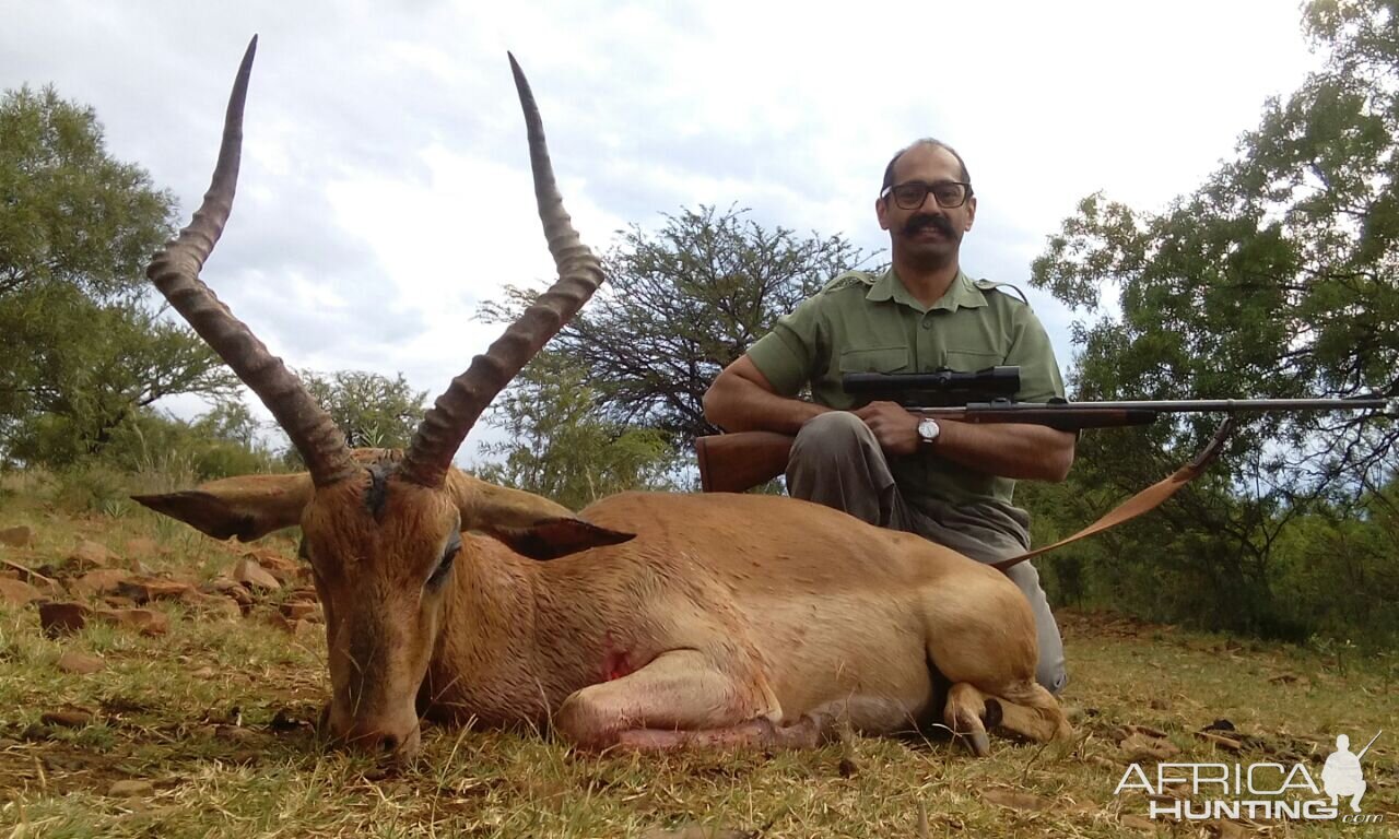 Hunting South Africa Impala