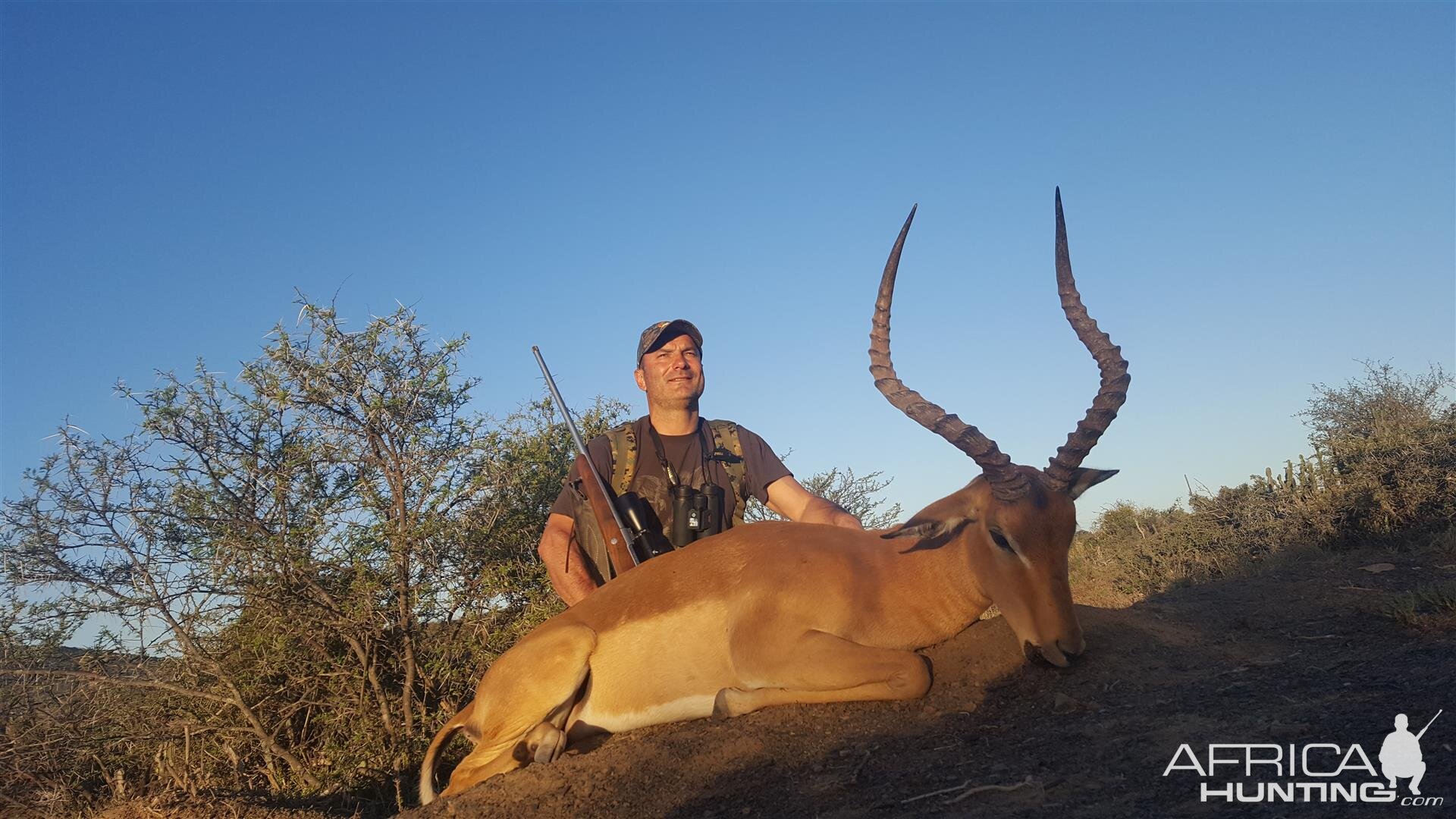 Hunting South Africa Impala