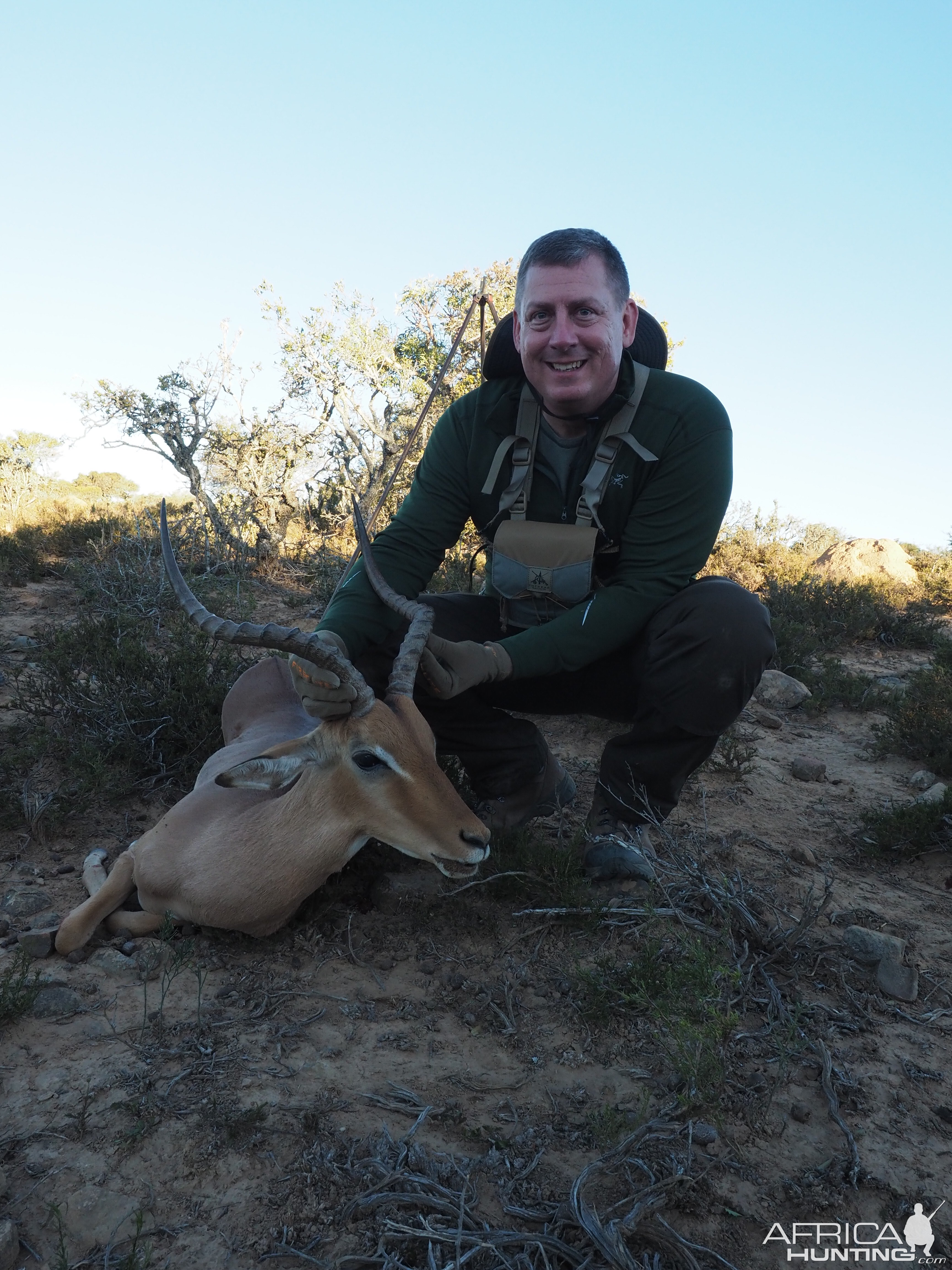 Hunting South Africa Impala