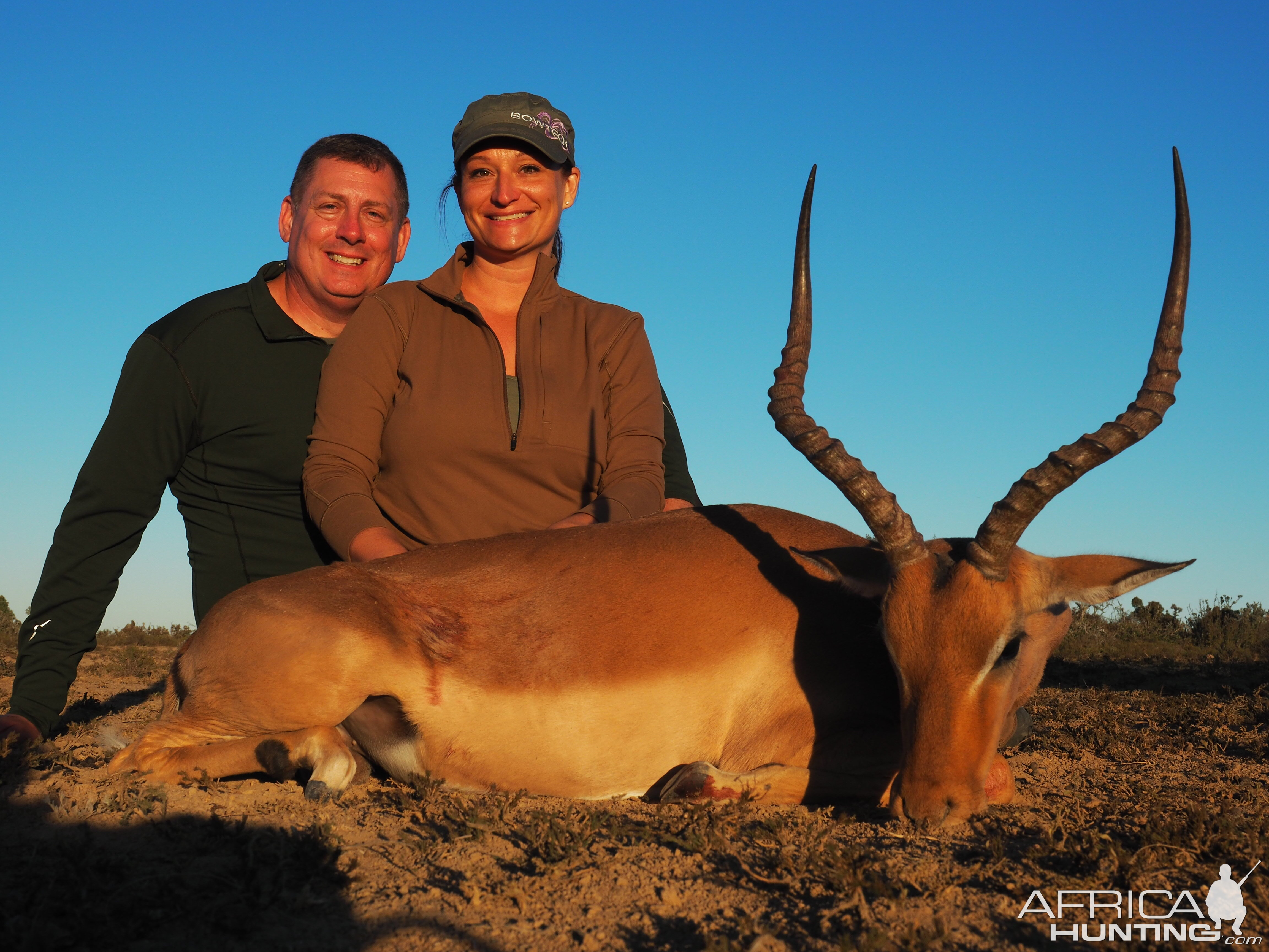 Hunting South Africa Impala